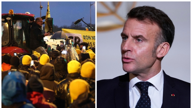 ipiccy_image - 2026-01-08T190257.482.jpg