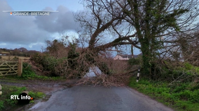 Les dégâts sont nombreux en Grande-Bretagne suite aux vents violents (plus de 160 km/h). Des routes ont été inondées et 65.000 foyers ont été privés d'électricité. La neige est aussi tombée en abondance.