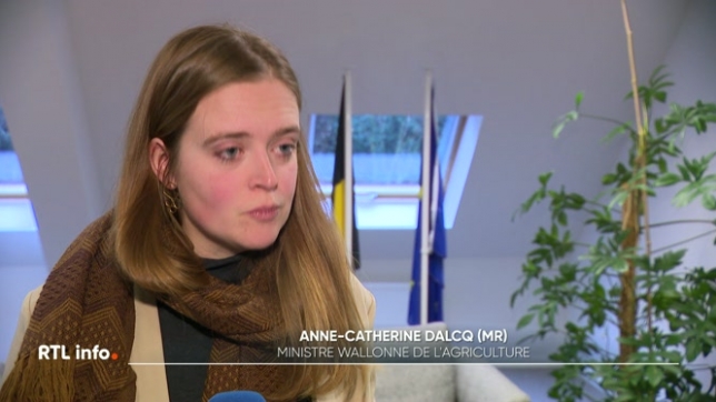 Les états membres de l'Union Européenne ont dû se prononcer avant la signature du traité entre l'Union Européenne et le Mercosur. Mais la Belgique s'est abstenue, faute de compromis entre régions et partis politiques.