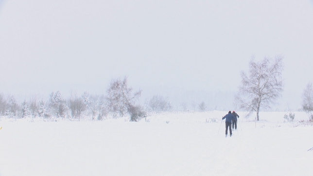 RTL INFO 19h Clean.19_09_24_12.Still007.jpg