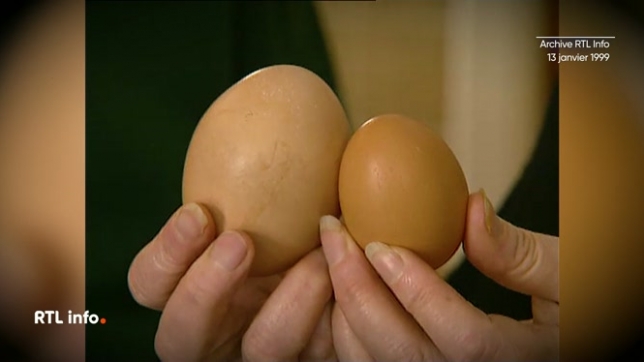 Dans notre archive du jour, retour sur une découverte insolite à Arlon : le 13 janvier 1999, un poulailler a produit un œuf de 142 grammes, le double des œufs XXL vendus dans le commerce.