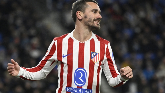 Belgaimage-153590551 copy.jpg