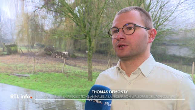 Le ministre fédéral de l'agriculture a lancé l'achat de vaccins contre la dermatose chez les bovins. Une maladie qui touche les bêtes et qui est très contagieuse. La Belgique se prépare pour pouvoir agir vite en cas de contamination chez nous.