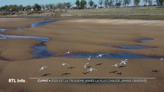 Les 3 dernières années ont été exceptionnellement chaudes indique Copernicus. Deux raisons principales l'expliquent : l'accumulation des gaz à effet de serre dans l'atmosphère et les niveaux exceptionnellement élevés des températures à la surface de la mer.