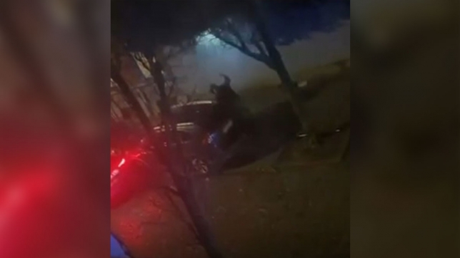 Le tir accidentel a été filmé.