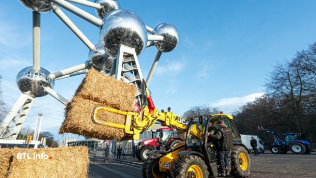Ce dimanche, plusieurs centaines d'agriculteurs ont bloqué les abords de l'Atomium pour protester contre l'accord de libre-échange Mercosur. Cette mobilisation fait suite au blocage de Brucargo, plus tôt dans la semaine. Les manifestants dénoncent une concurrence qu'ils estiment déloyale.