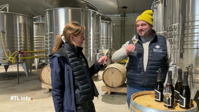 Le vin blanc de noirs brut de la Ferme des Hêtres a reçu la médaille d'argent au concours Les meilleurs effervescents du monde, à Lyon en novembre dernier. Une très belle récompense pour le domaine viticole car plus de 400 effervescents ont été dégustés par 80 experts lors de la compétition.