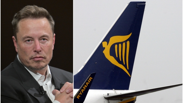 ipiccy_image (16).jpg