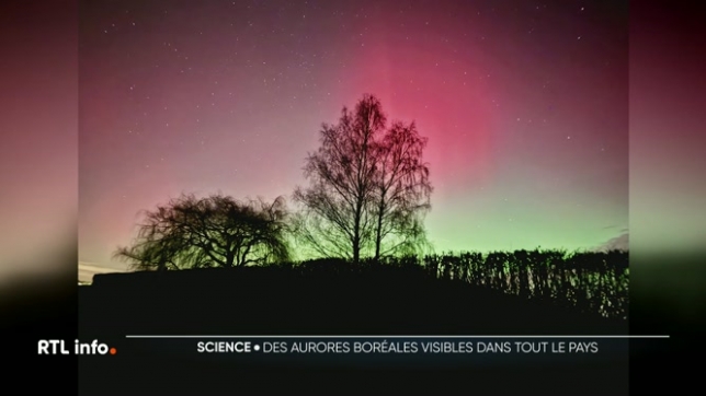 C'est un phénomène exceptionnel qui a pu être observé dans le ciel de la Belgique ce lundi soir. De splendides aurores boréales ont fait leur apparition de 22h30 jusqu'à minuit un peu partout dans le pays. Un spectacle magique que de nombreux Belges ont partagé grâce à leurs photos et vidéos.