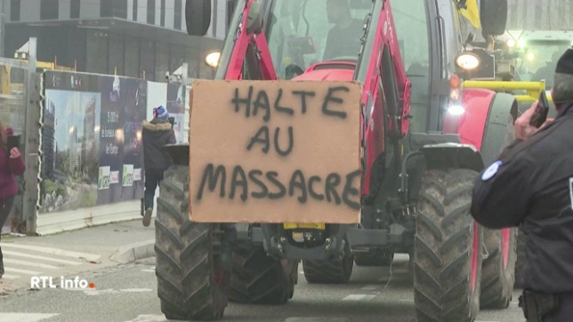 Les députés européens envoient le texte devant la Cour européenne de Justice. Elle devra  vérifier la conformité du texte, ce qui suspend le vote du traité par le parlement.