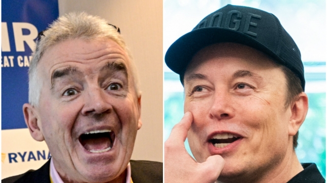 ipiccy_image (18).jpg