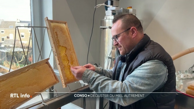 Le miel est très souvent conditionné en pots mais il peut être également consommé directement dans l'alvéole. Cela s'appelle le miel de sections, une façon de faire encore méconnue chez nous mais qui peut être découverte dans la région de Verviers.