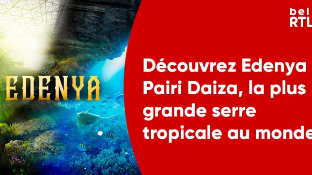 Edenya concours bel RTL pairi daiza