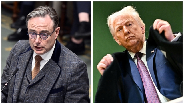 ipiccy_image - 2026-01-22T165418.969.jpg