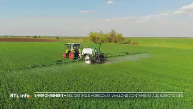 Selon une étude de l'UCLouvain portant sur un type de pesticide utilisé sur les terres agricoles, près de 80% de ces terres seraient contaminée par ce pesticide. Quelles sont les impacts sur notre santé et sur la biodiversité ? Explications.