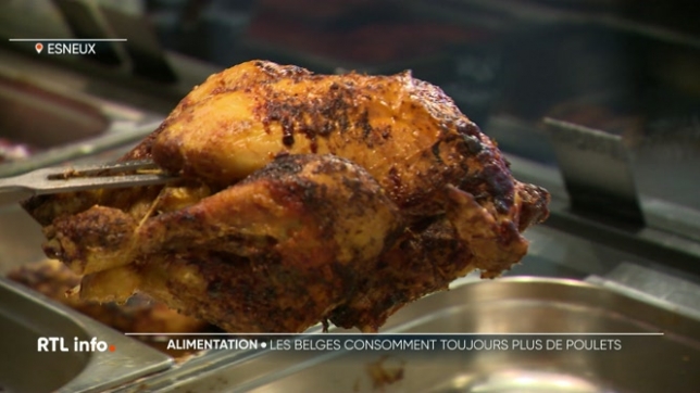 Plus de 16 kg de poulet sont consommés par personne chaque année en Belgique, mais savez-vous d'où il provient ? En Wallonie, un poulet sur deux est importé, et la proportion grimpe encore lorsqu'il s'agit de produits transformés.