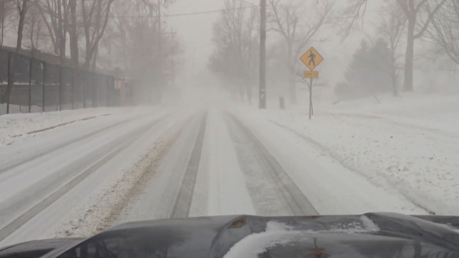 TEMPETE FERN (R. Mayez).00_00_13_01.Still001.jpg