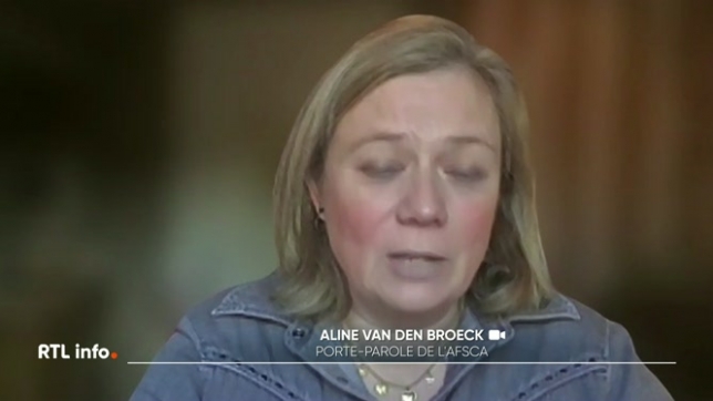 Des lots de laits infantiles commercialisés par Danone et potentiellement contaminés à une toxine bactérienne ont été retirés du commerce en Belgique. Le risque concerne la céréulide, au coeur d'autres rappels de produits de Nestlé et Lactalis. L'AFSCA mène l'enquête.