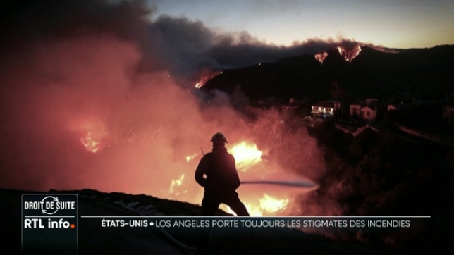 C'était il y a tout juste un an. Los Angeles et la Californie faisaient face à des incendies presque incontrôlables. Aujourd'hui, la reconstruction avance difficilement sur les ruines de ces feux de forêt et de broussailles historiques.