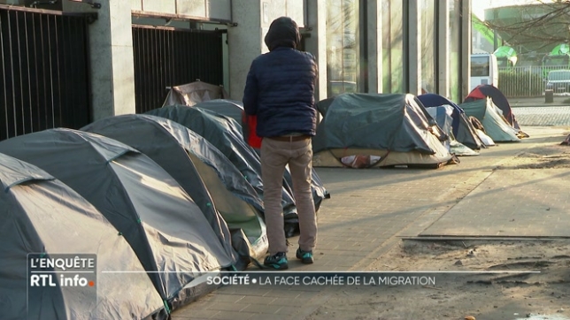 Les chiffres de l'asile sont en baisse en Belgique et le gouvernement fédéral s'en félicite. Selon la ministre Van Bossuyt, les demandes ont baissé de 13% en 2024 grâce à la politique migratoire la plus stricte jamais menée. Mais derrière ces chiffres, quelle est la réalité vécue par les migrants?