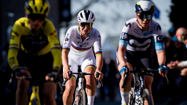 Belgaimage-119692778 copy.jpg