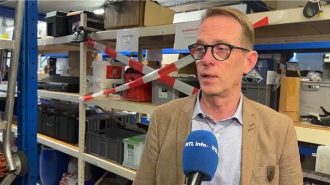 De plus en plus de rats dans nos grandes villes wallonnes