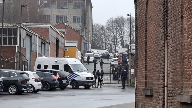 WhatsApp Image 2026-01-29 at 13.43.36.jpeg