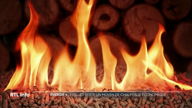 Le pellet demeure aujourd'hui l'une des solutions de chauffage les plus économiques. Son prix a certes augmenté de 7% en un an, mais il se stabilise désormais, loin des niveaux records atteints en 2022 au plus fort de la crise énergétique.