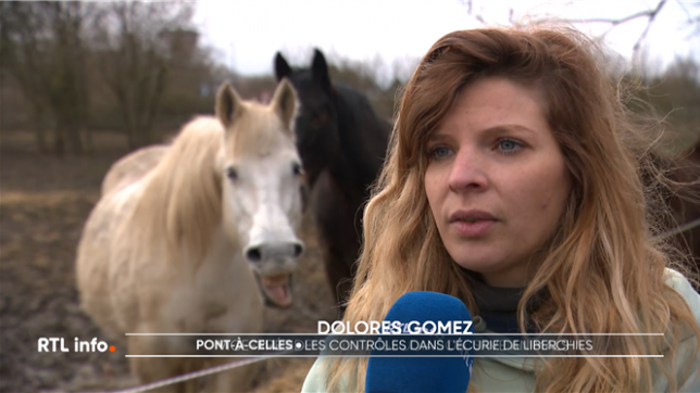Il y a une semaine, nous révélions le calvaire de chevaux dans une écurie de Liberchies, à Pont-à-Celles. Le parquet de Charleroi enquête désormais pour maltraitance animale.