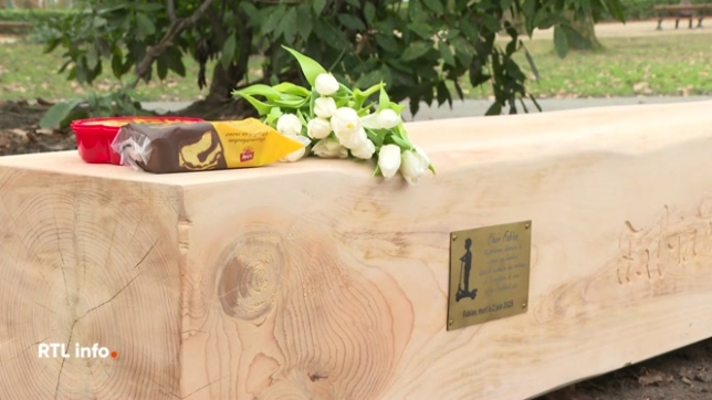 La stèle a été inaugurée en présence de la famille du petit garçon, percuté mortellement par une voiture de police en juin dernier, dans le parc Elisabeth. L'ASBL à la base de cette initiative entend sensibiliser à la sécurité routière. L'enquête est toujours en cours.