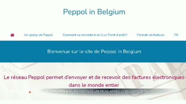 Avec Peppol, fini les factures papier ou les pièces jointes envoyées par e-mail. Plus d'un million d'entreprises belges y sont inscrites, un mois après son lancement; mais, dans la pratique, des indépendants rencontrent des problèmes techniques, comme Frédéric Pirson. Témoignages et bilan.