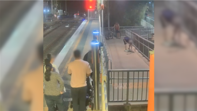 Des images de caméras de surveillance montrent des passagers fuyant un serpent dans une petite gare de Sydney, en Australie.