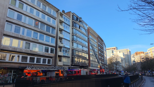 WhatsApp Image 2026-02-04 at 11.07.50.jpeg