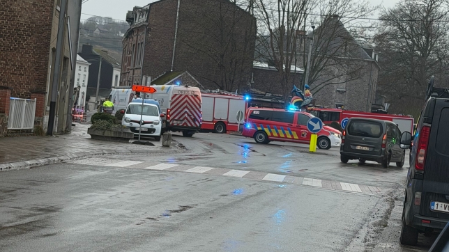 55ad95b5-f1d7-456e-e920-03a925a122ae-IMG_3685 (2).jpeg