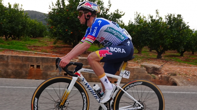 Remco Evenepoel a fait la différence.