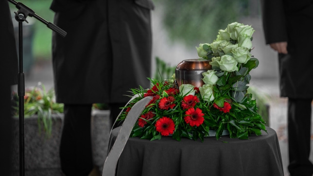 Image d’illustration