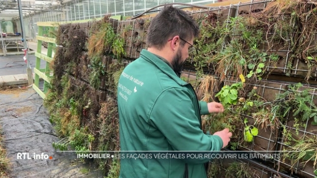 Transformer du béton en oasis, c'est le pari de cette entreprise qui habille les façades de compositions florales verticales, faites de matériaux recyclés et de plantes sauvages.