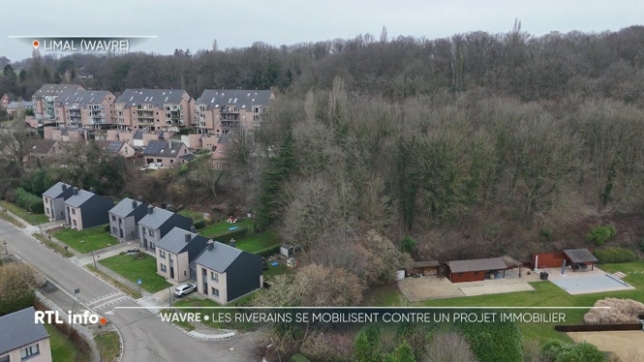 La demande de permis du promotteur porte sur la construction de trois tours de sept étages, comprenant chacune 27 logements; sur une parcelle boisée de 2,8 hectares, le bois de la Héronnière. Certains riverains dénoncent l'abattage de 150 arbres et les impacts sur la biodiversité.
