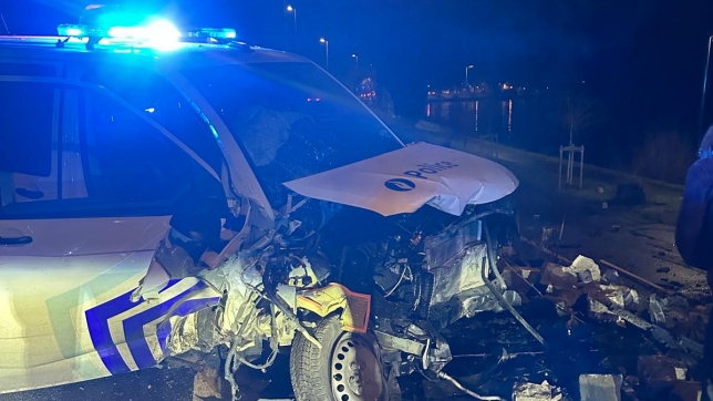 WhatsApp Image 2026-02-11 at 08.46.58.jpeg