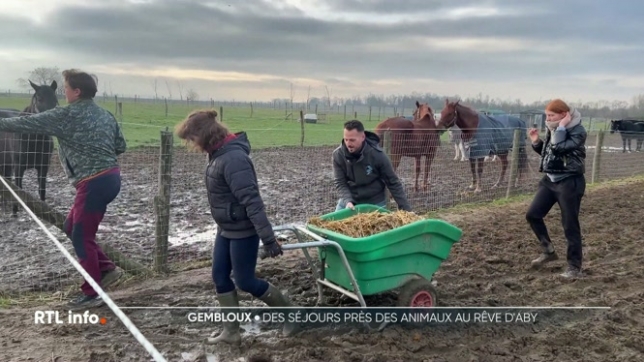 Des jeunes du secondaire peuvent faire des séjours scolaires et des retraites au refuge pour animaux de la ferme Le rêve d'Aby. Ils effectuent des activités qui ont du sens, au grand air, et apportent une aide bien utile à la ferme.