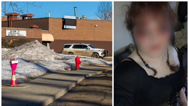 ipiccy_image - 2026-02-11T212000.688.jpg