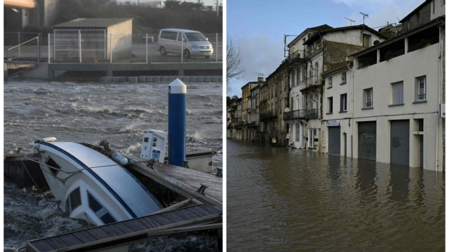 ipiccy_image - 2026-02-12T110808.700.jpg