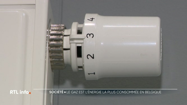 Le gaz naturel reste aujourd'hui encore l'énergie la plus utilisée en Belgique, loin devant le mazout, une tendance particulièrement marquée dans les grandes villes et encore davantage en Flandre et à Bruxelles.
