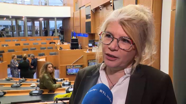 Françoise De Smedt, cheffe de groupe PTB.