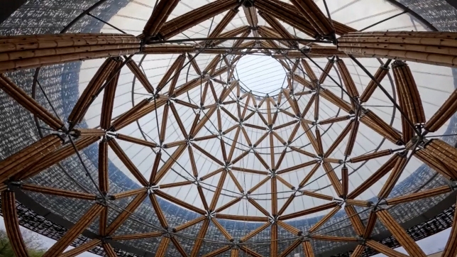 RTL INFO 19h Clean.19_28_08_07.Still003.jpg