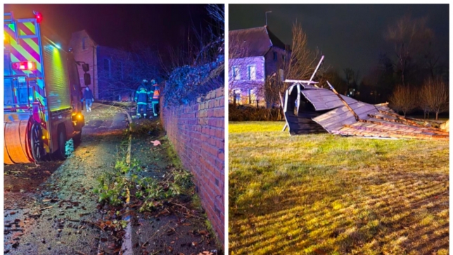 ipiccy_image - 2026-02-17T081301.193.jpg