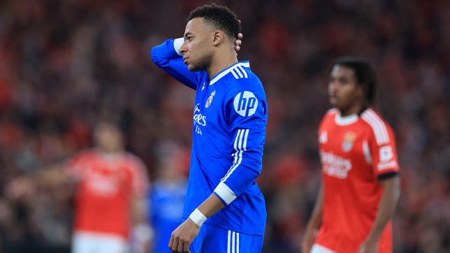 belgaimage-164027967_copy