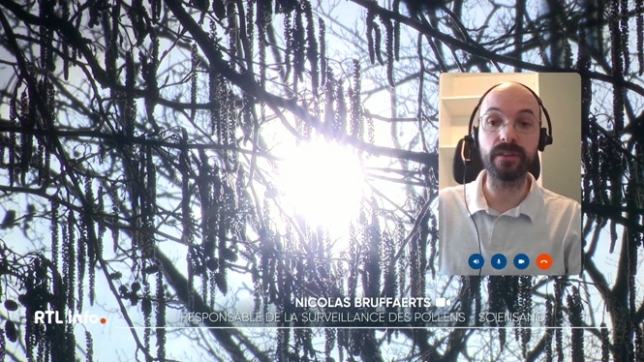 Nous sommes toujours bien en hiver, mais la saison des allergies a bel et bien commencé. Un Belge sur 10 est concerné, et ressent déjà peut-être les premières traces des pollens d'aulne et de noisetier. Un pic est d'ailleurs attendu dans les prochains jours.