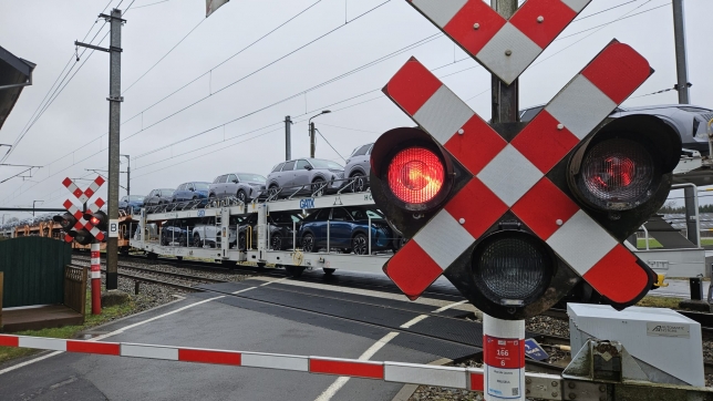 WhatsApp Image 2026-02-21 at 10.15.13.jpeg