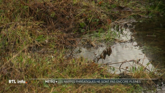 Le mois de février a été particulièrement arrosé. Selon les derniers chiffres de l'IRM, il est tombé 82,5 mm à Uccle contre 65 mm en temps normal. On est loin du record de 2024 et ses 127 L/M2. Malgré cette pluie abondante, le niveau des nappes phréatiques reste encore en dessous de la normale.